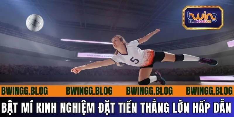 cach-cuoc-bong-chuyen-bat-mi-kinh-nghiem